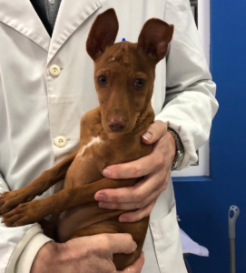 imagen_2025-11-19_133826587